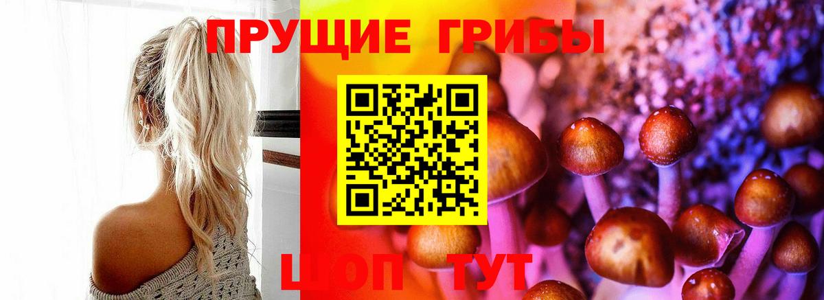 Псилоцибиновые грибы MAGIC MUSHROOMS Сорочинск