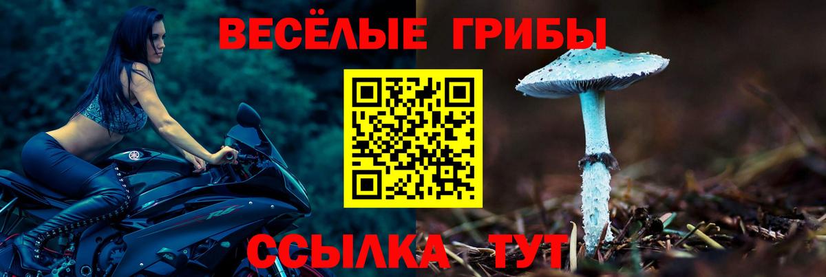 Сорочинск  Галлюциногенные грибы Magic Shrooms  Псилоцибиновые грибы Cubensis  Вход с VPN 